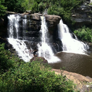 Meet your Posher, Addison